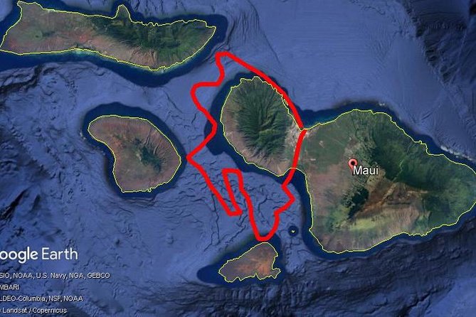 Maui Whale Watching -PRIVATE- Air Tour: (2-5 People): SEE WHALES! - Molokini Crater and the aquamarine water