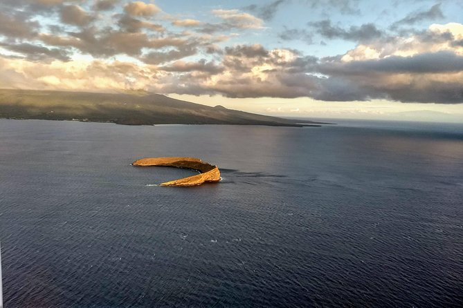 Maui Whale Watching -PRIVATE- Air Tour: (2-5 People): SEE WHALES! - Finding mothers, calves, and groups of whales