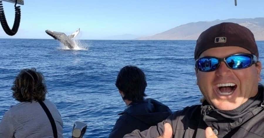 Maui: Whale Watching Tour - 1.5 hours - Key points to know before you go