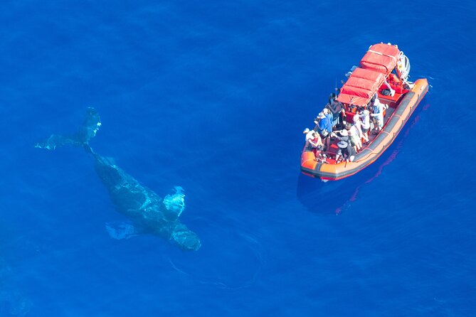 Maui Whale-Watching Tour by Raft from Kihei - Hearing whale song through the hydrophone