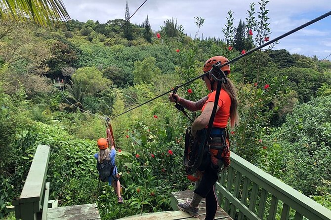 Maui Zipline Eco Adventure: 8 Lines through the Jungle - Key points to know before booking
