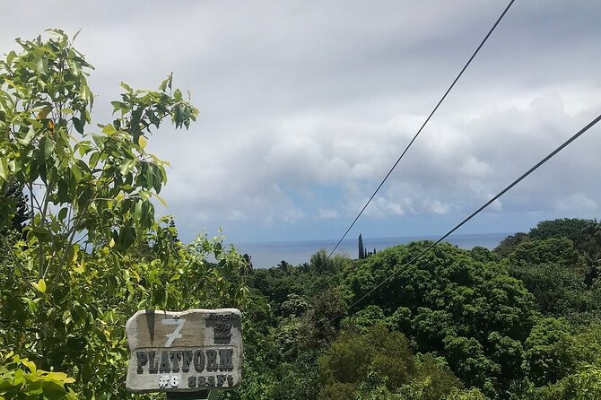 Maui Zipline Eco Adventure: 8 Lines through the Jungle - Getting checked in at Jungle Zipline Maui