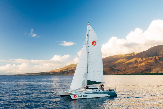 Midmorning Whale Watch from Lahaina Harbor - Is $100.22 a fair price?
