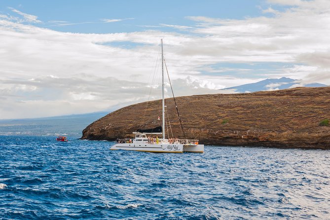 Molokini and Turtle Arches Snorkeling Trip from Ma'alaea Harbor - Turtle Arches: a second chance, not a guarantee