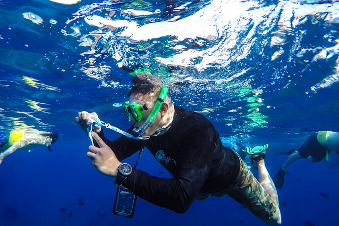 Molokini and Turtle Arches Snorkeling Trip from Ma'alaea Harbor - Who will enjoy this trip most