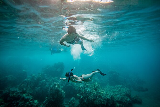 Molokini Crater Snorkel & Whale Watch Adventure (Dec 15-Mar 30) - Why Molokini makes a short trip worthwhile