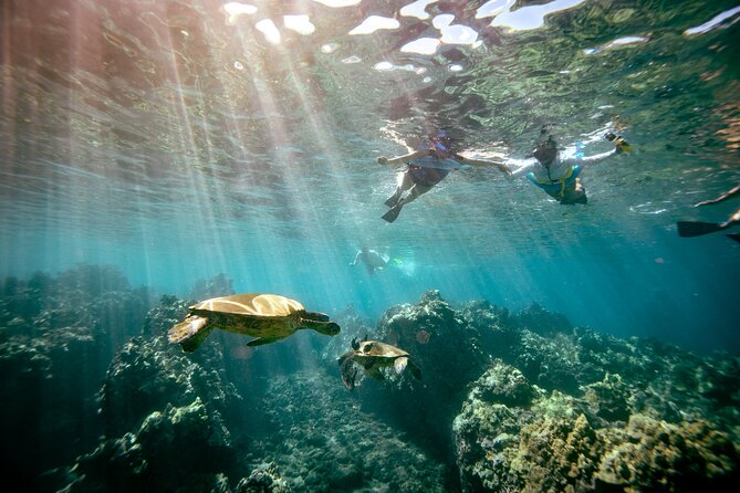 Molokini Crater Snorkel & Whale Watch Adventure (Dec 15-Mar 30) - What is included, and what should you pack?