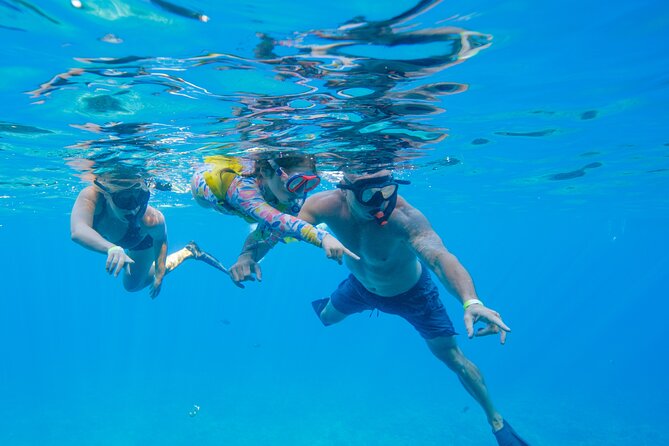 Molokini Crater Snorkel & Whale Watch Adventure (Dec 15-Mar 30) - Is $139 a fair price?