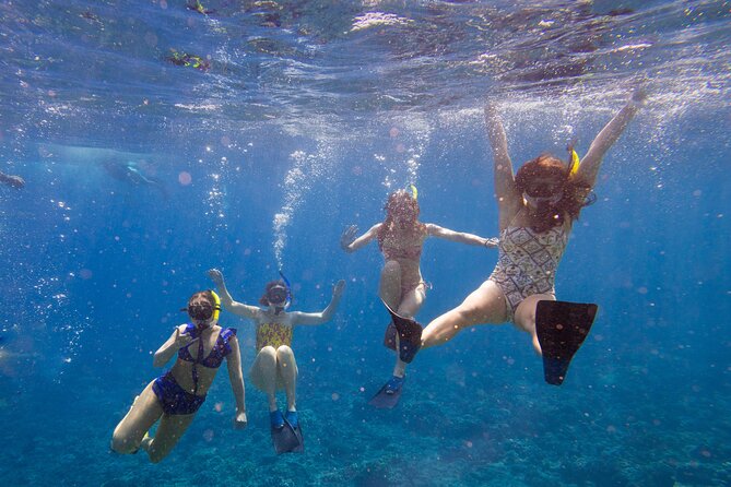 Molokini Snorkel and Performance Sail: Mā’alaea Harbor - Why Molokini makes this sail worth considering