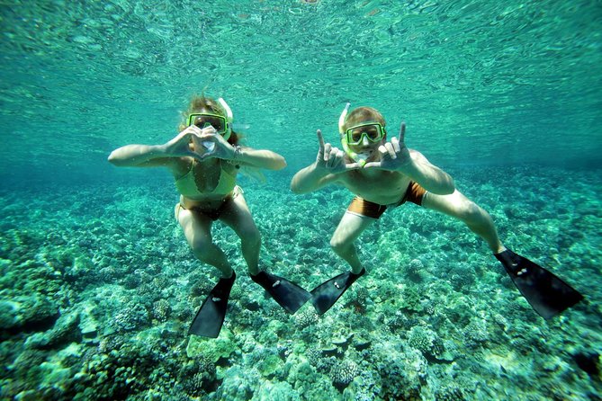 Molokini Snorkel and Performance Sail: Mā’alaea Harbor - Whales, dolphins, and the return sail