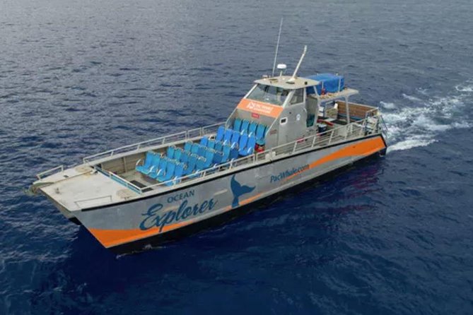 Molokini & Turtle Adventure: Small Group from Ma'alaea Harbor - What happens at Maalaea Harbor
