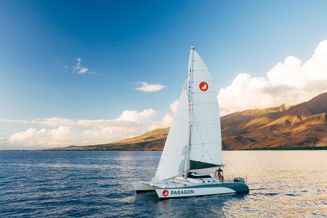 Morning Whale Watch: Lahaina Harbor - Key points to know before booking