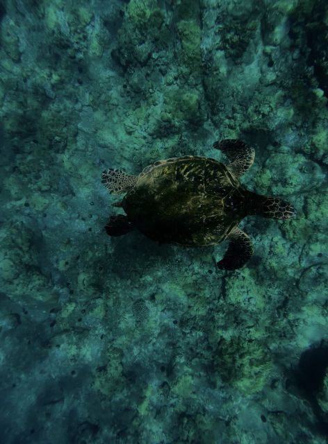 Night Time Snorkel At Turtle Town With Lights And Stars - Meeting the guide at Makena Landing Park