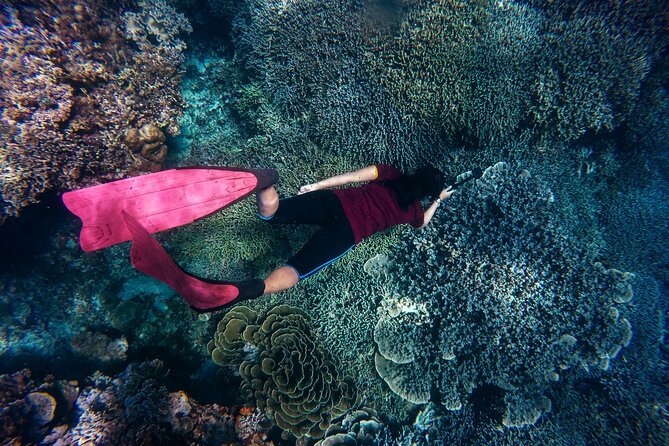 Night-Time Snorkel at TurtleTown with Stars, Lights, and Photos - Who Will Enjoy This Most