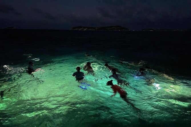 Night-Time Snorkel at TurtleTown with Stars, Lights, and Photos - What the Night Swim Is Really Like