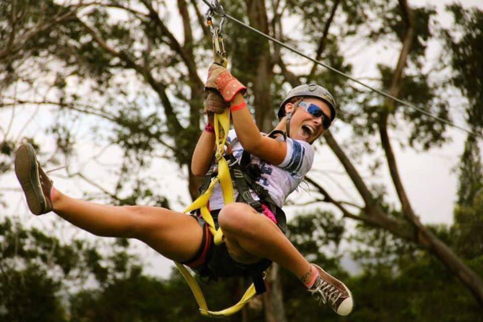 North Maui: 7 Line Zipline Adventure with Ocean Views - Seven ziplines through the eucalyptus canopy