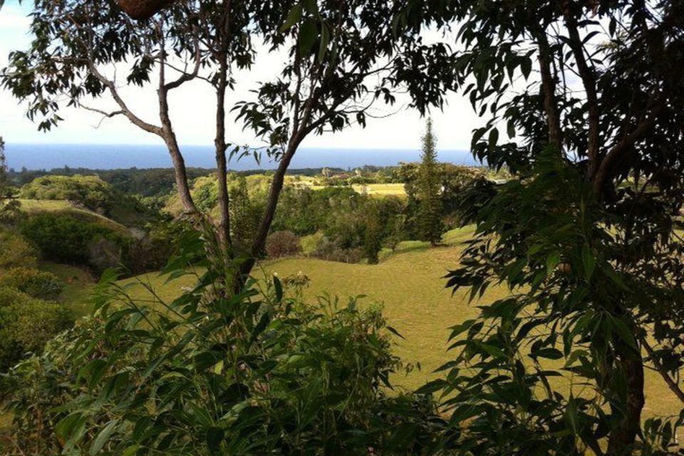 North Maui: 7 Line Zipline Adventure with Ocean Views - What makes the guides important