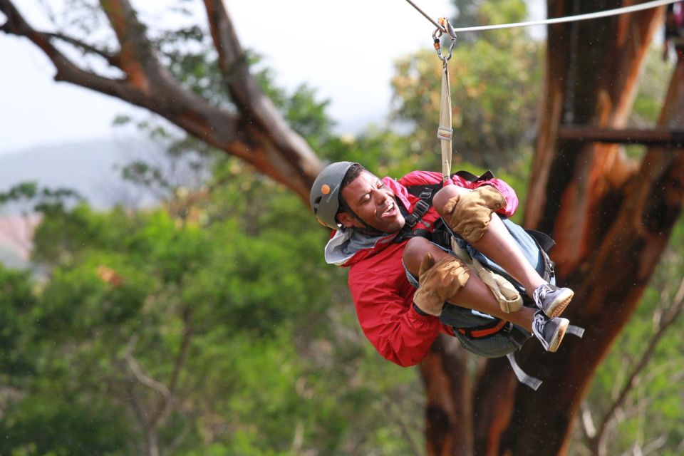 North Maui: 7 Line Zipline Adventure with Ocean Views - Ocean views, WWII context, and the Camp Maui Museum