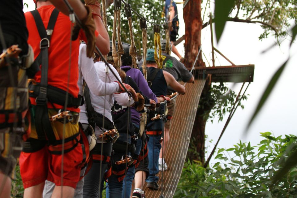 North Maui: 7 Line Zipline Adventure with Ocean Views - Is $155 a fair price for two hours?