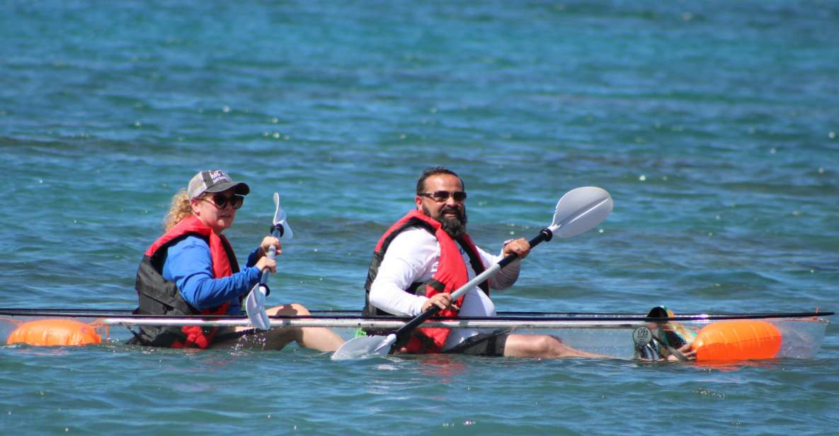 Olowalu: Guided Clear Kayak Tour - Unlimited - Key points to know before you paddle