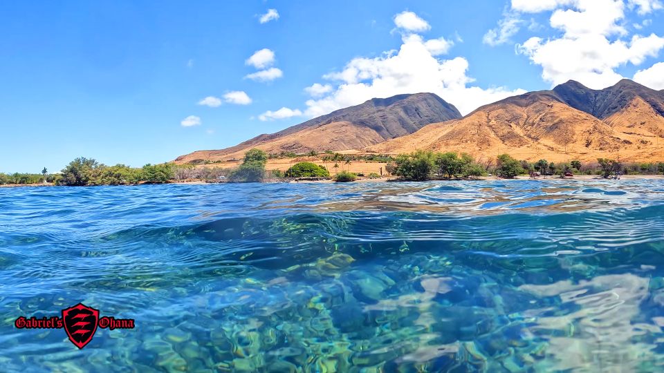 Olowalu: Guided Clear Kayak Tour - Unlimited - Seeing Olowalu’s reef through a clear kayak