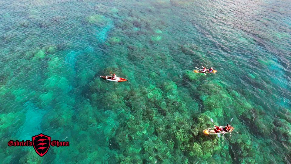 Olowalu: Guided Clear Kayak Tour - Unlimited - Snacks that make sense on a three-hour outing