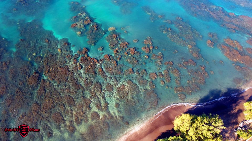 Olowalu: Guided Clear Kayak Tour - Unlimited - Comfort, equipment, and the back-paddling issue