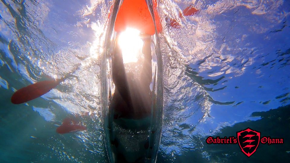 Olowalu: Guided Clear Kayak Tour - Unlimited - What the $129 price includes