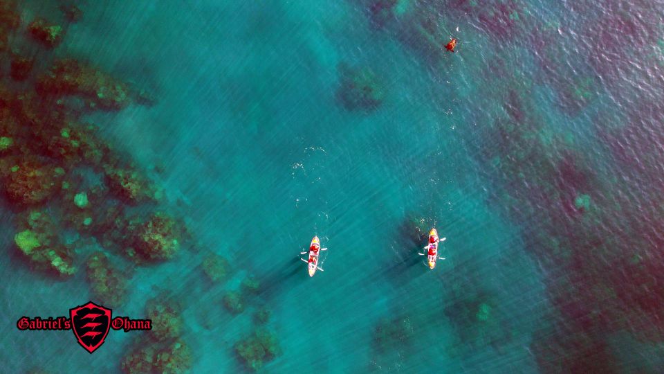 Olowalu: Guided Clear Kayak Tour - Unlimited - Who will enjoy this Olowalu outing