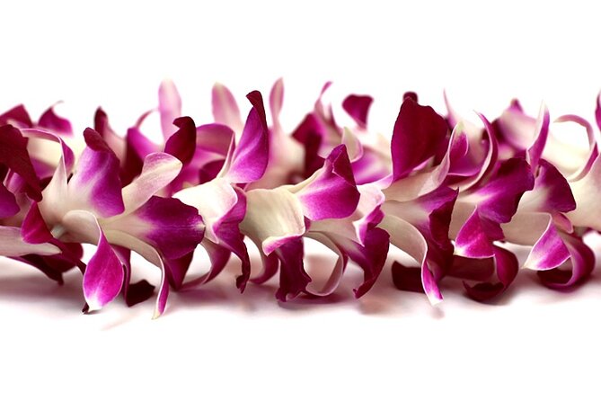 Orchid Airport Lei Greeting (Maui, Kahului Airport, OGG) - What happens at Kahului Airport