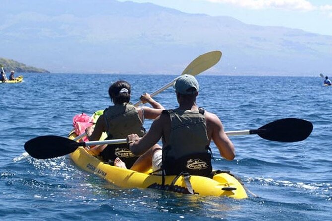 Paddle, Snorkel and Learn to Surf: All in a Day on Maui - Three Maui water skills in one package