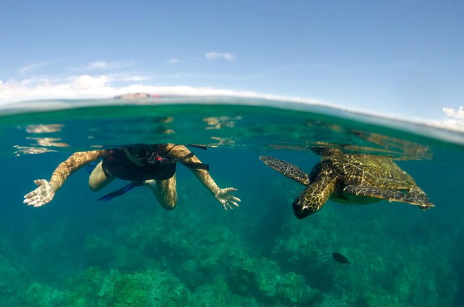 Paddle, Snorkel and Learn to Surf: All in a Day on Maui - What the $216.14 price really buys