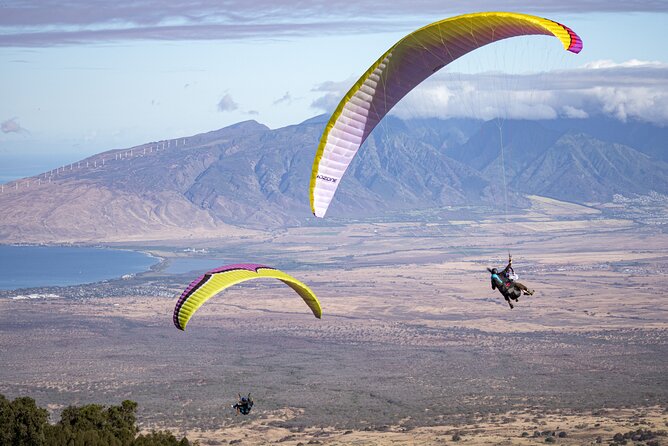 Paraglide Maui's 1K Tandem Paragliding Experience - The landing near the meeting point