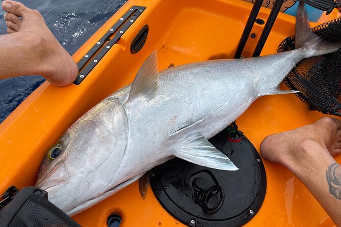 Pelagic Kayak Fishing Charter Lahaina - Who will enjoy this most