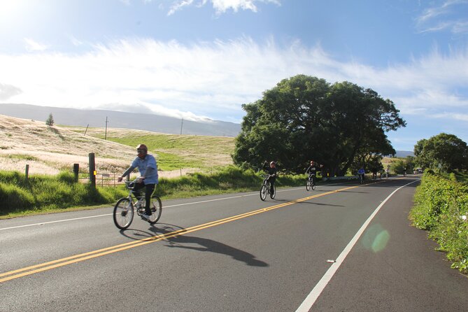 Predawn-Morning Haleakala Bike Tour 6,500 to Sea Level - Coasting through the 29 switchbacks