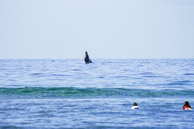 Private 2 hour Surf Lessons with Experienced Coaches - The 90-minute water session