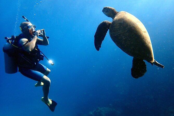 Private and Personalized Scuba Diving Adventures for All Experience Levels - Why a private Maui session changes the day