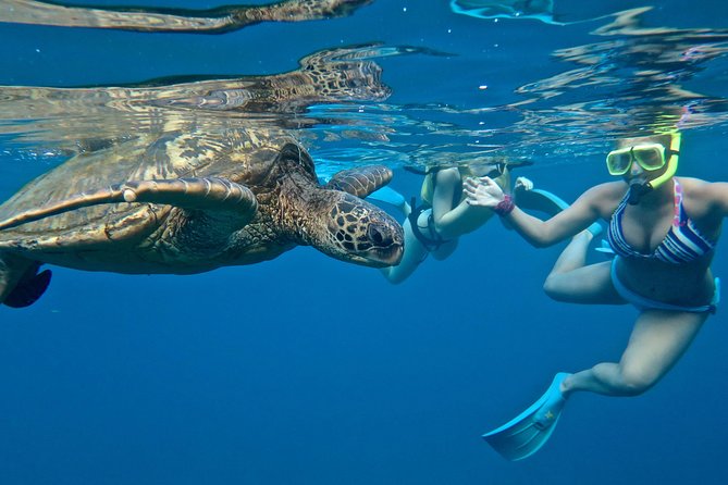 Private Beginner Paddleboard Lesson with Snorkel in Turtle Town - Learning to stand on the board