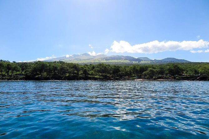 Private Beginner Paddleboard Lesson with Snorkel in Turtle Town - Weather, timing, and cancellation