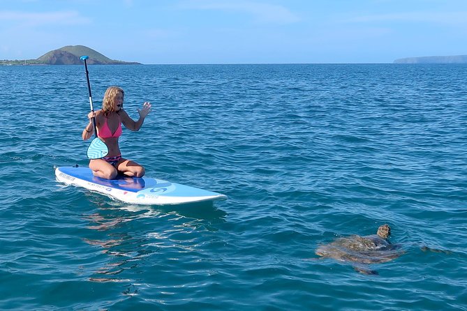 Private Beginner Paddleboard Lesson with Snorkel in Turtle Town - Paddling the Wailea Coastline