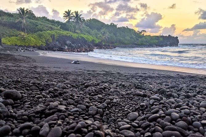 Private Full Day Hana Jeep Tour - Pua‘a Ka‘a State Park adds water and a possible swim