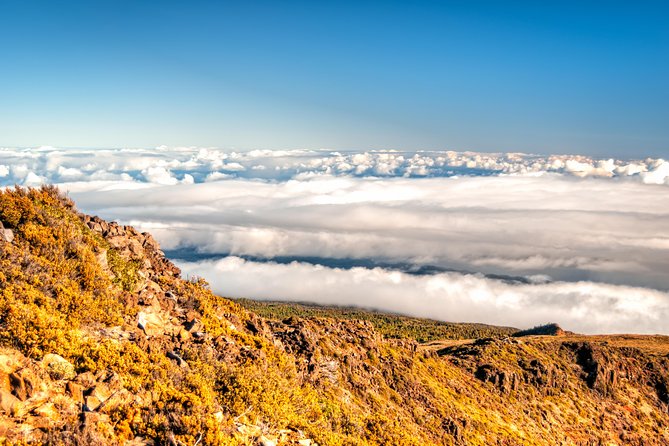 Private Haleakala Summit & Stroll from Kahului - The guides shape the quality of the day