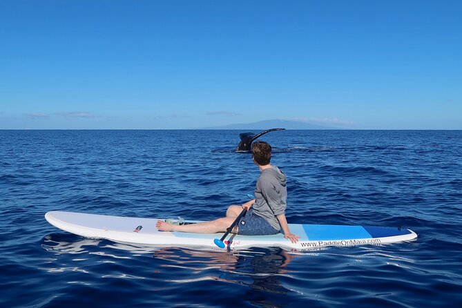 Private Paddleboard (SUP) Whale Watch: All Skill Levels Welcome - Starting at Makena Landing Park