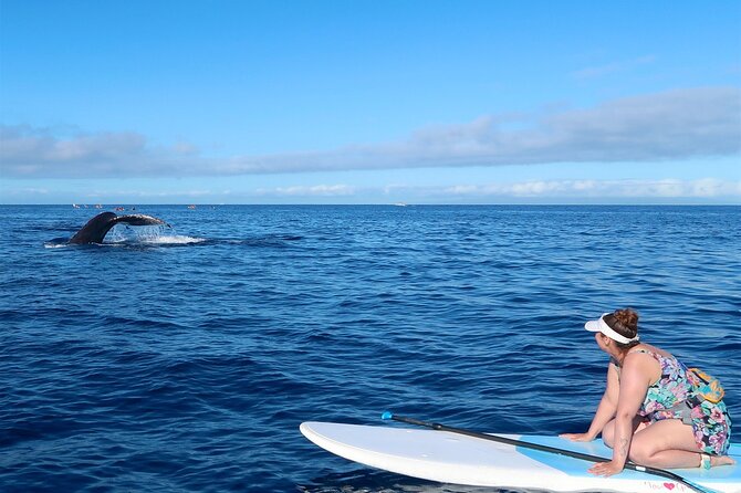 Private Paddleboard (SUP) Whale Watch: All Skill Levels Welcome - The guide’s role in making beginners comfortable