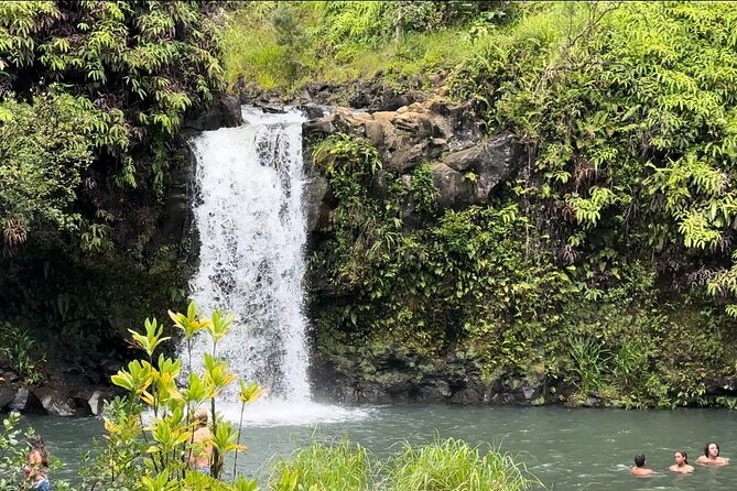 Private Road to Hana Maui Open-Air Jeep Tour - Ho‘okipa Beach Park starts the day with sea turtles