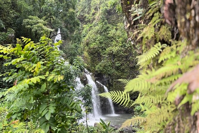 Private Road to Hana Maui Open-Air Jeep Tour - Kaumahina State Wayside Park gives you the first broad view