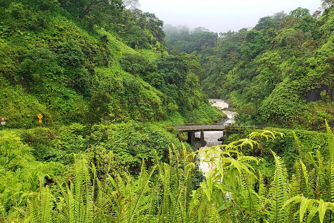 Private Road to Hana or any Maui destination in Luxury Mercedes Sprinter - What your Maui day can look like