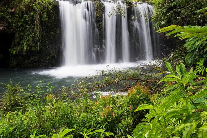 Private Road to Hana Rainforest & Waterfall Experience from Maui - Key points to know before booking