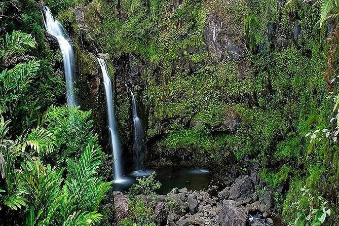 Private Road to Hana Rainforest & Waterfall Experience from Maui - Why a private Road to Hana trip can be worth the price