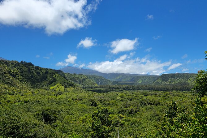 Private Road to Hana Tour with Pickup - Hoʻo­kipa Beach Park and the ride home